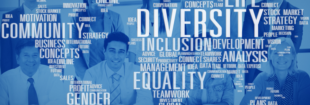 Inclusion and Diversity Partner Programme