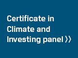 Button - Certificate in Climate & Investing panel