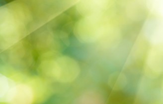 CCI green sunlight