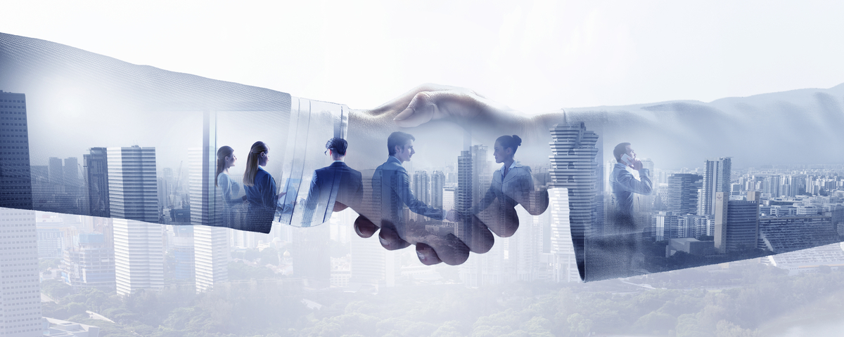 Gender Diversity Partner Programme