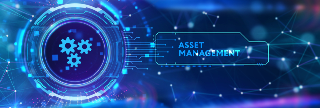 A picture of asset management 