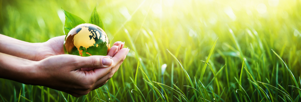 Hands holding world over grass