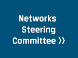 Networks Steering Committee