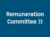Remuneration Committee