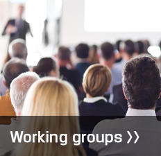 Working groups