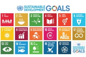 SDG report image